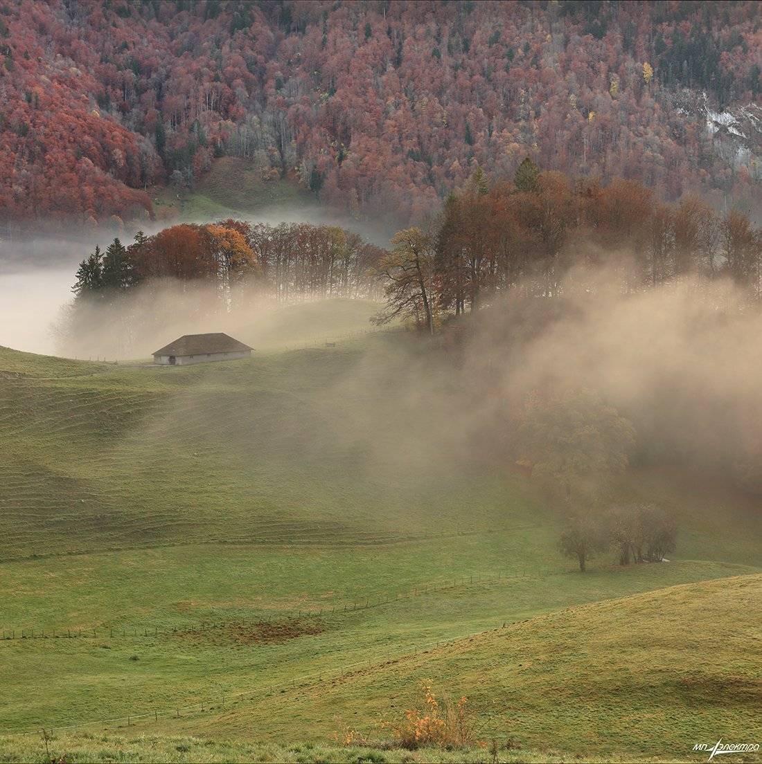 swiss, Матвеев Николай