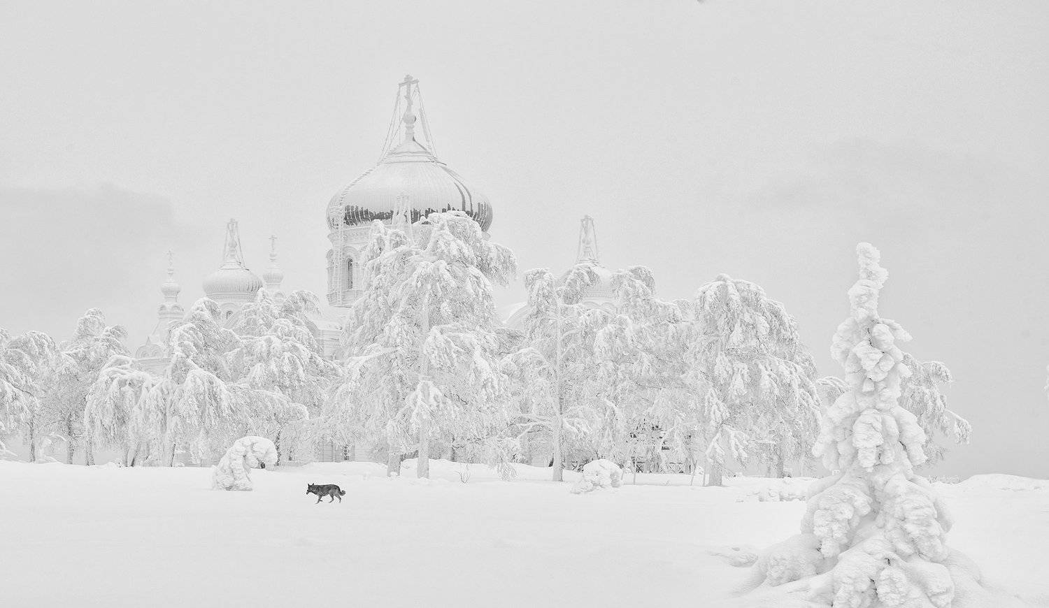 зима снег белогорский монастырь, Виктор Новокрещенов