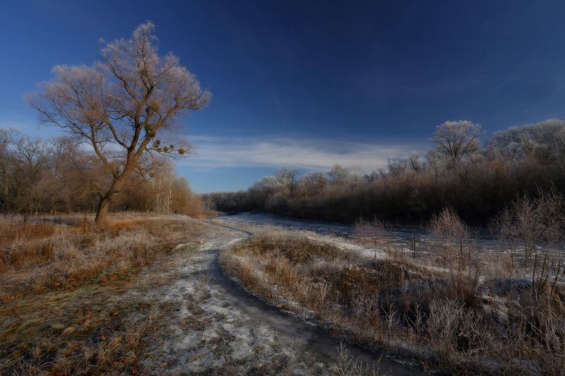 зима, мороз, иней, река, декабрь  фото превью