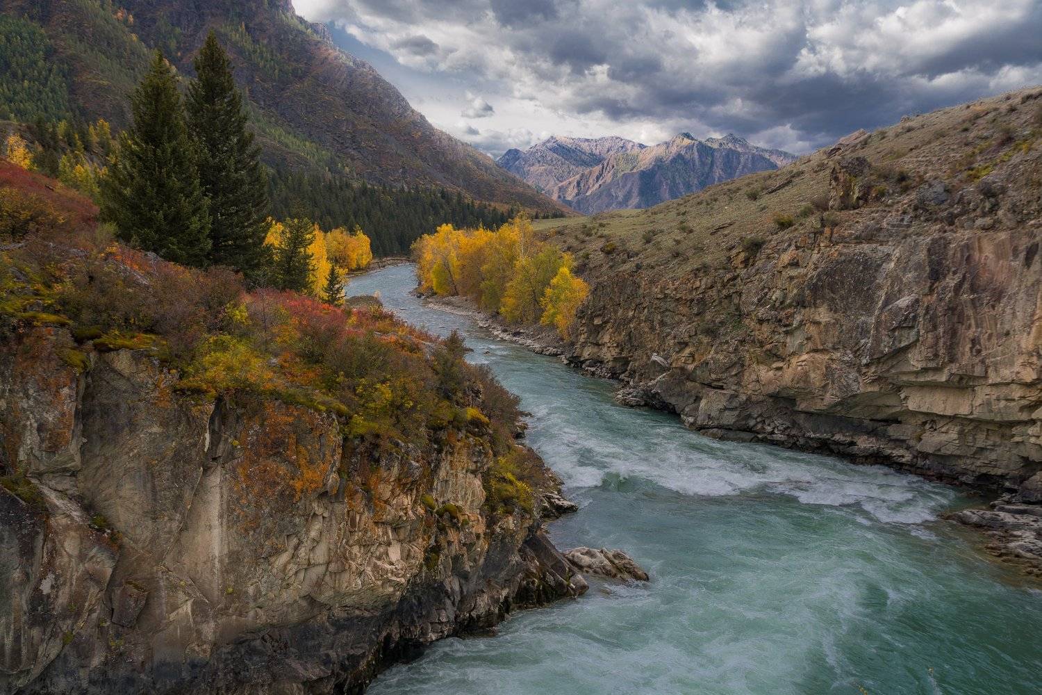 россия, горный алтай, река чуя, порог, осень, Андрей Поляков