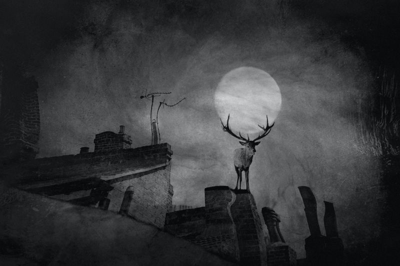 L A M P фото превью