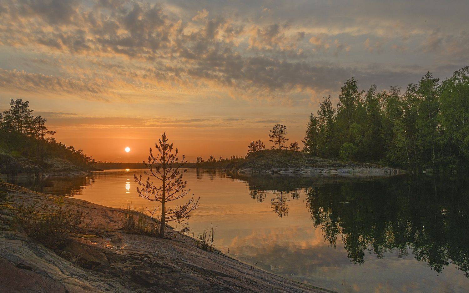 ладога., ДМИТРИЙ ПУЗЕНКО