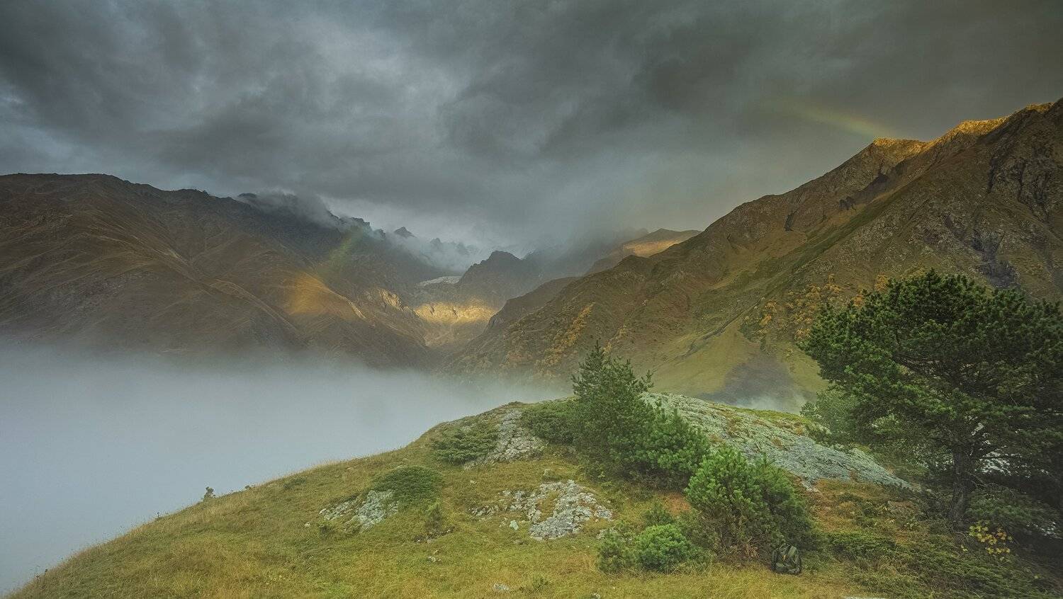 , ДМИТРИЙ ПУЗЕНКО