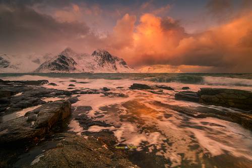 Lofoten. 