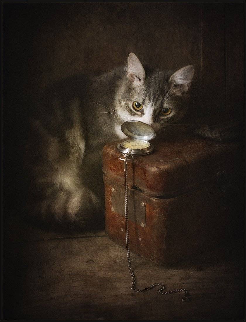 , Александр Хромеев