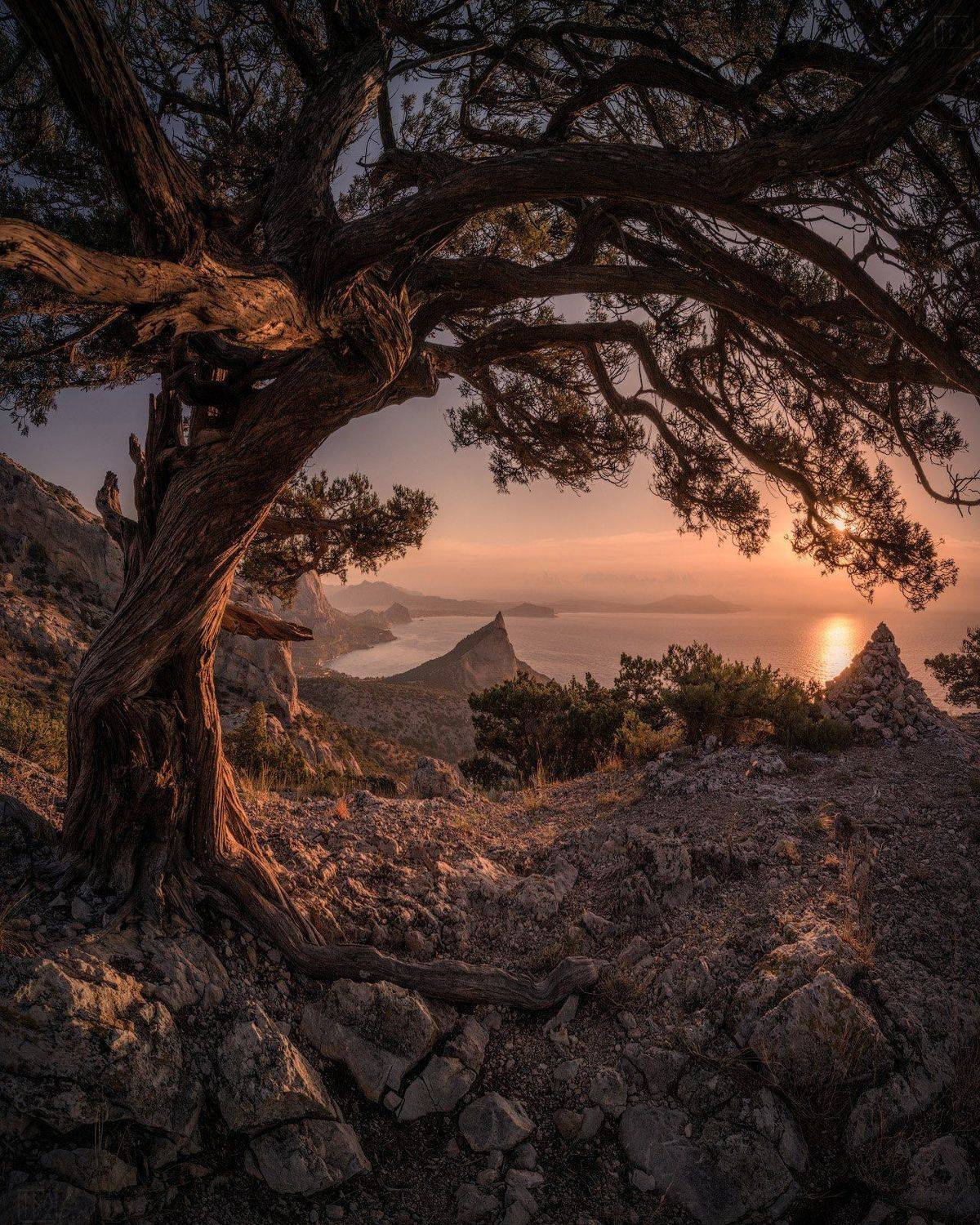 крым, новый свет, осень, рассвет, crimea, autumn, dawn, Виктор Иванов