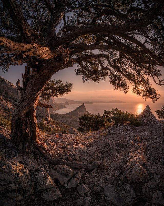 крым, новый свет, осень, рассвет, crimea, autumn, dawn Новый Свет фото превью