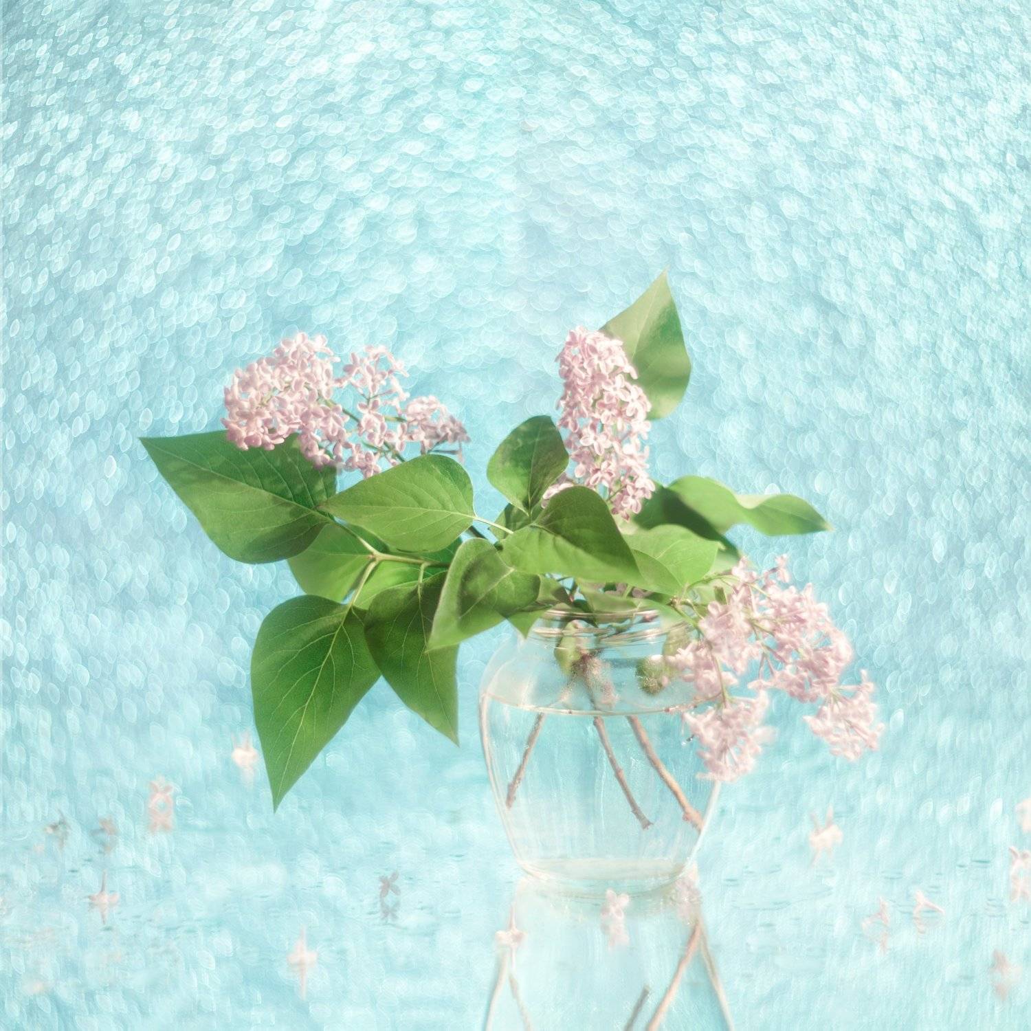 сирень, гелиос, невеста, стекло, весна, Татьяна Макотра