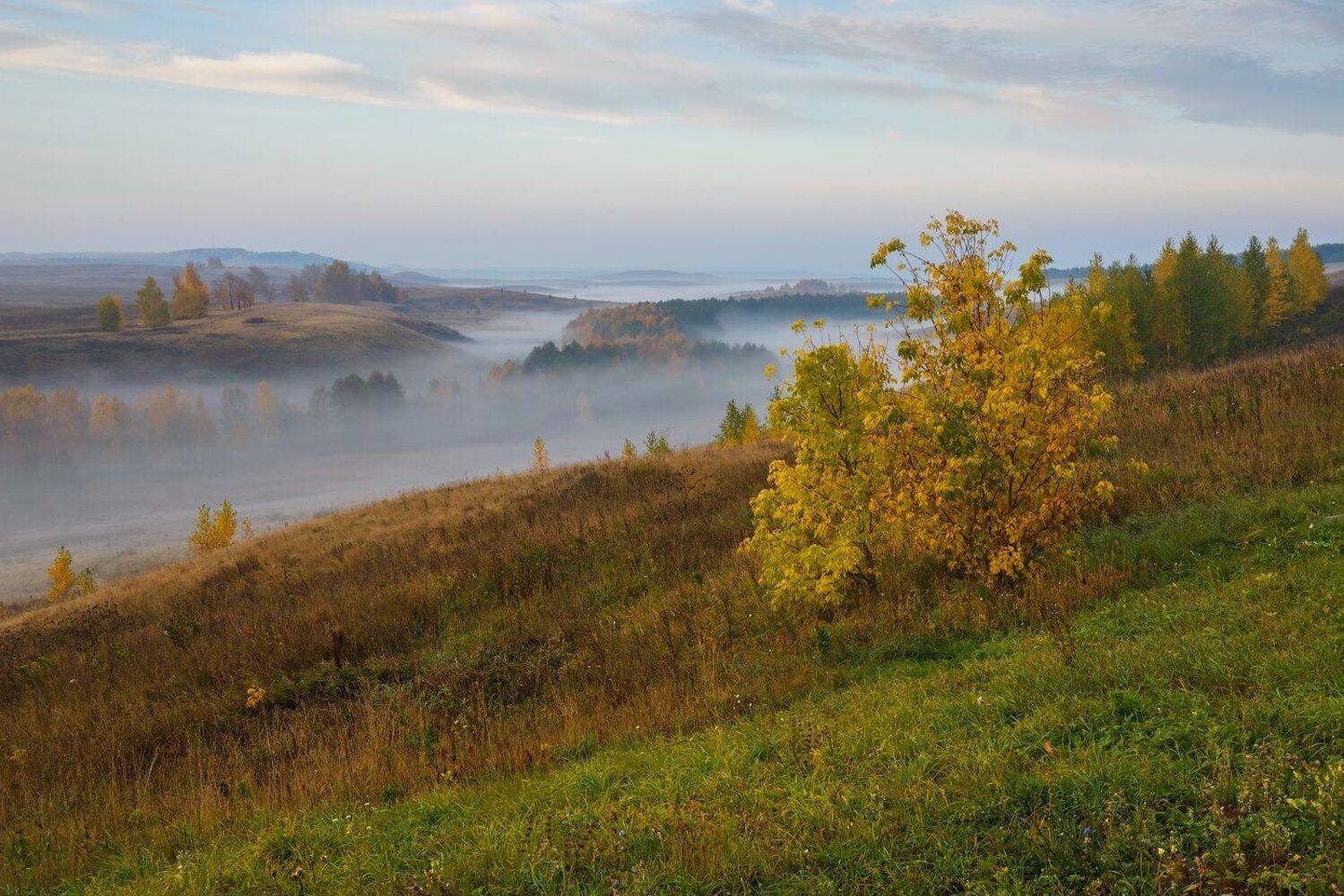 Башкирия осень, Кутыгин Эдуард
