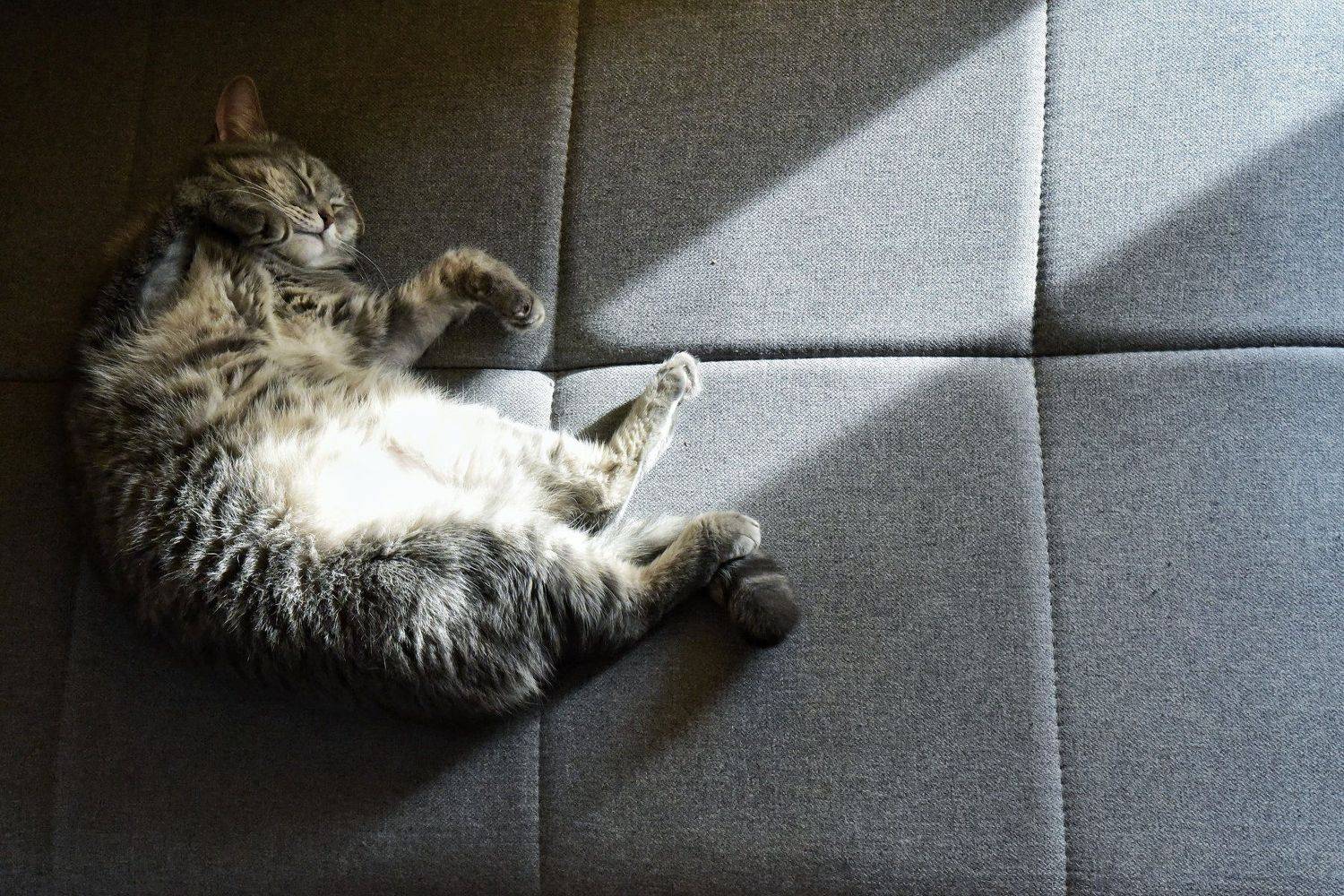 , Владимир Леликов-Кузьменко