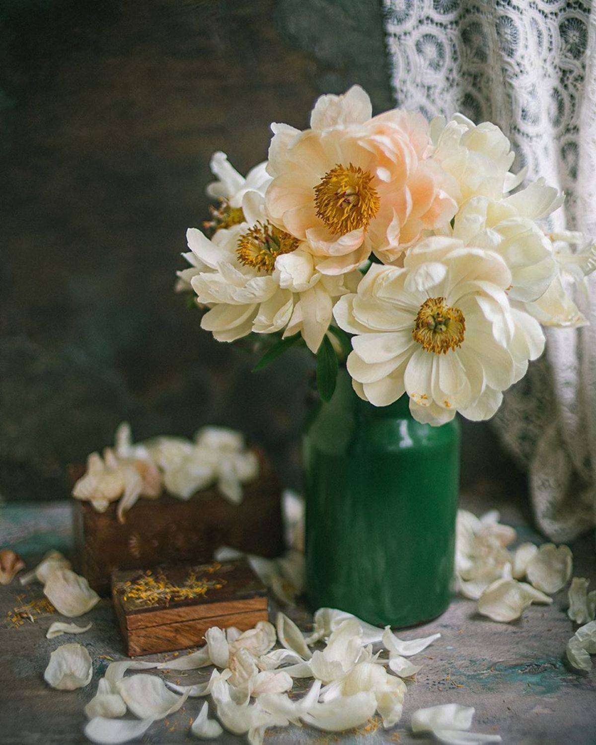 букет, пионы, свет, белый, Анастасия Зубкова