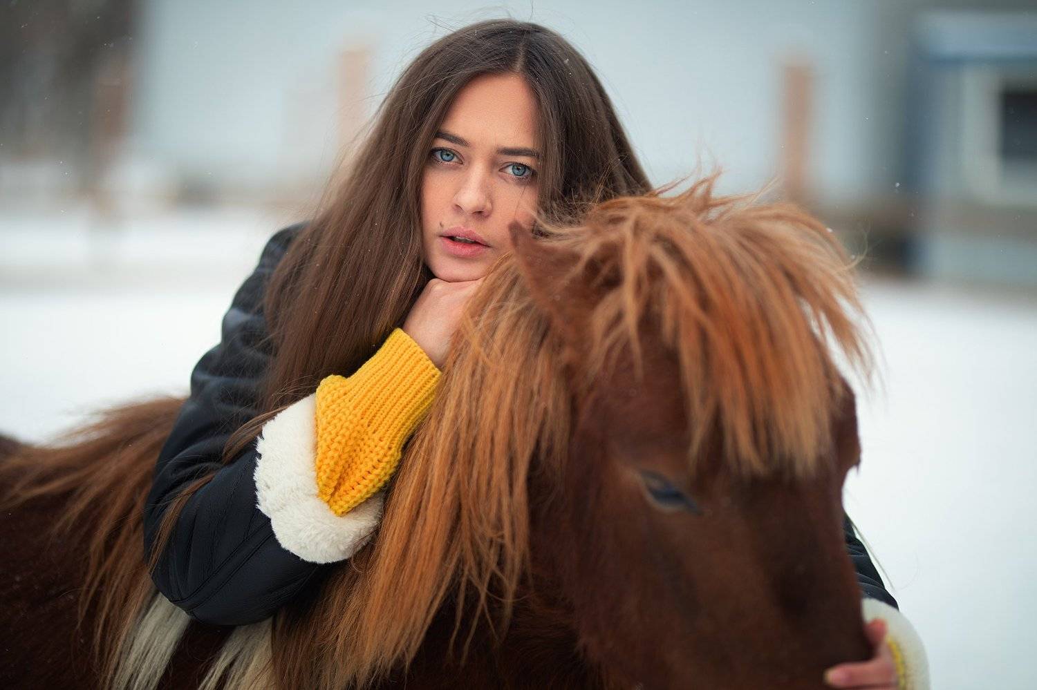 , Шульгин Дмитрий