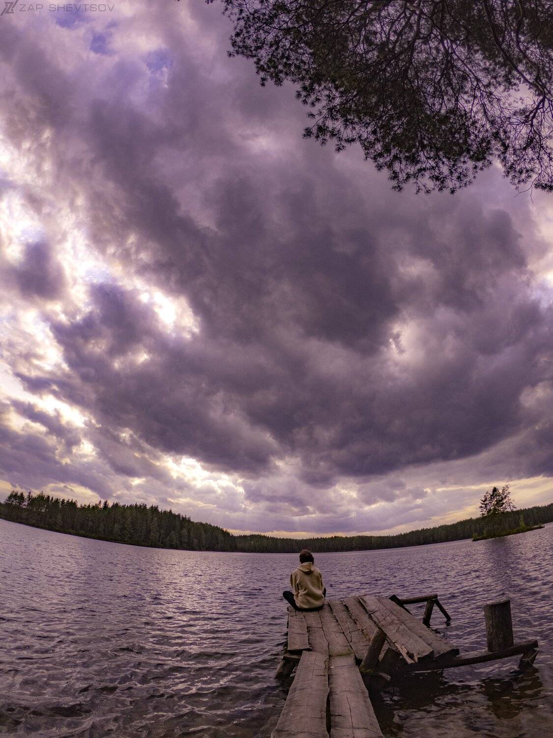 Поле,лес,природа,креативное фото,Профессиональное фото,Сергей Шевцов,Zap Shevtsov, Zapworld,zap-world,интересное,с неба,с дрона,высоко,яркое,цвета,необычное,угол,фото,профессиональная фотография, Sergey Shevtsov