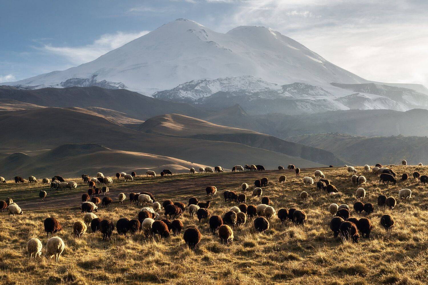 , Михаил Туркеев