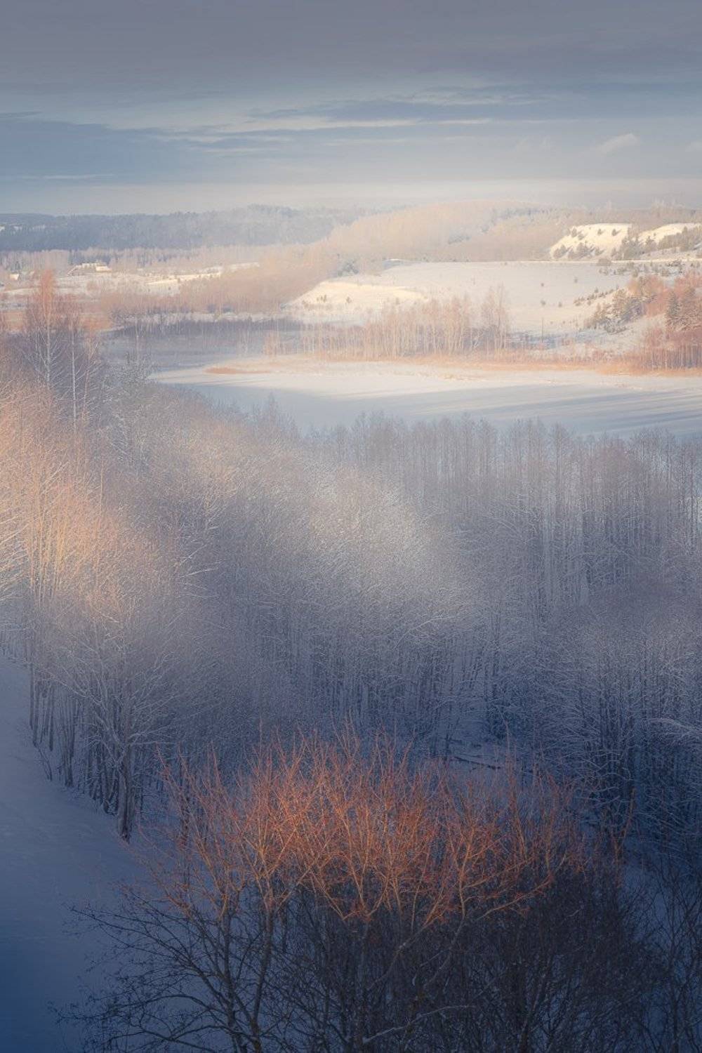 , Светлана Морозова