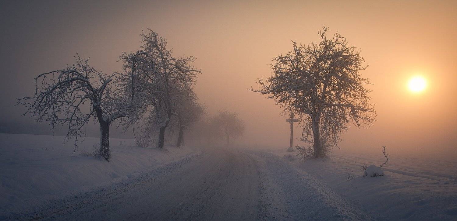 Winter. Автор: Robert Adamec , Robert Adamec