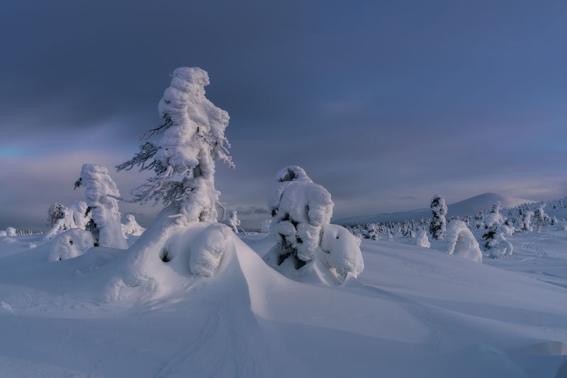 Сторожилы Волосяной сопки фото превью