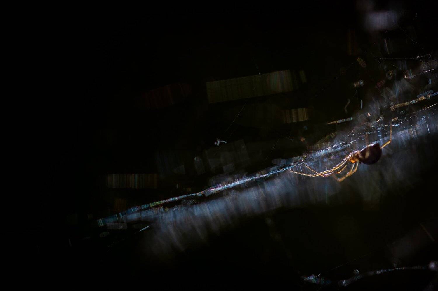 , Кузнецов Дмитрий