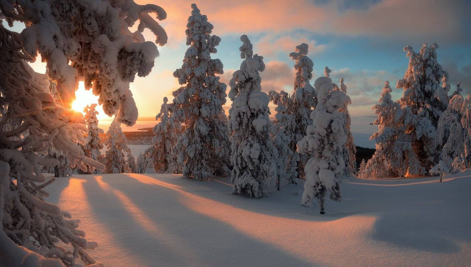 пейзаж,кольский,север,панорама,лес,свет,россия,мурманская область, Виталий Истомин