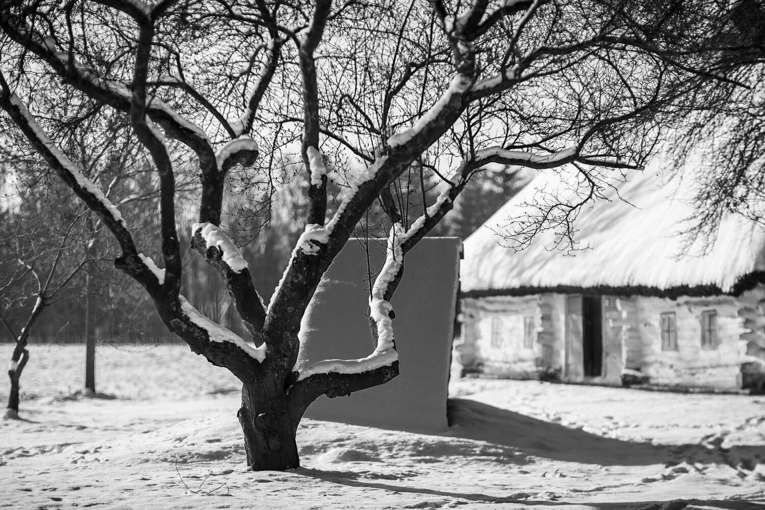 , Юрий Юрьев