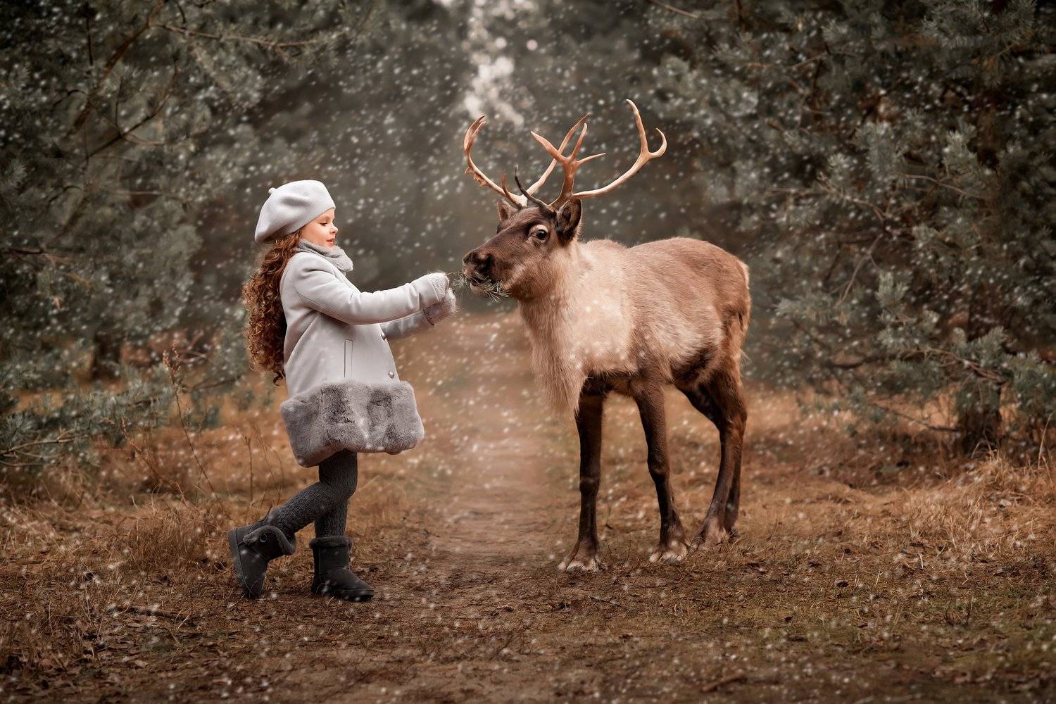 художественные фотографии, Валентина Ермилова