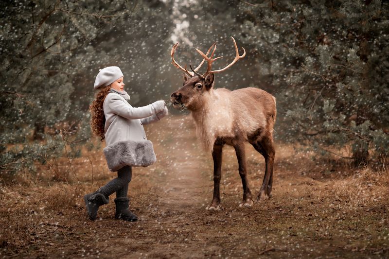 художественные фотографии Сказка фото превью