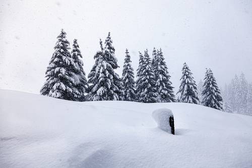 *Поднять перескоп*