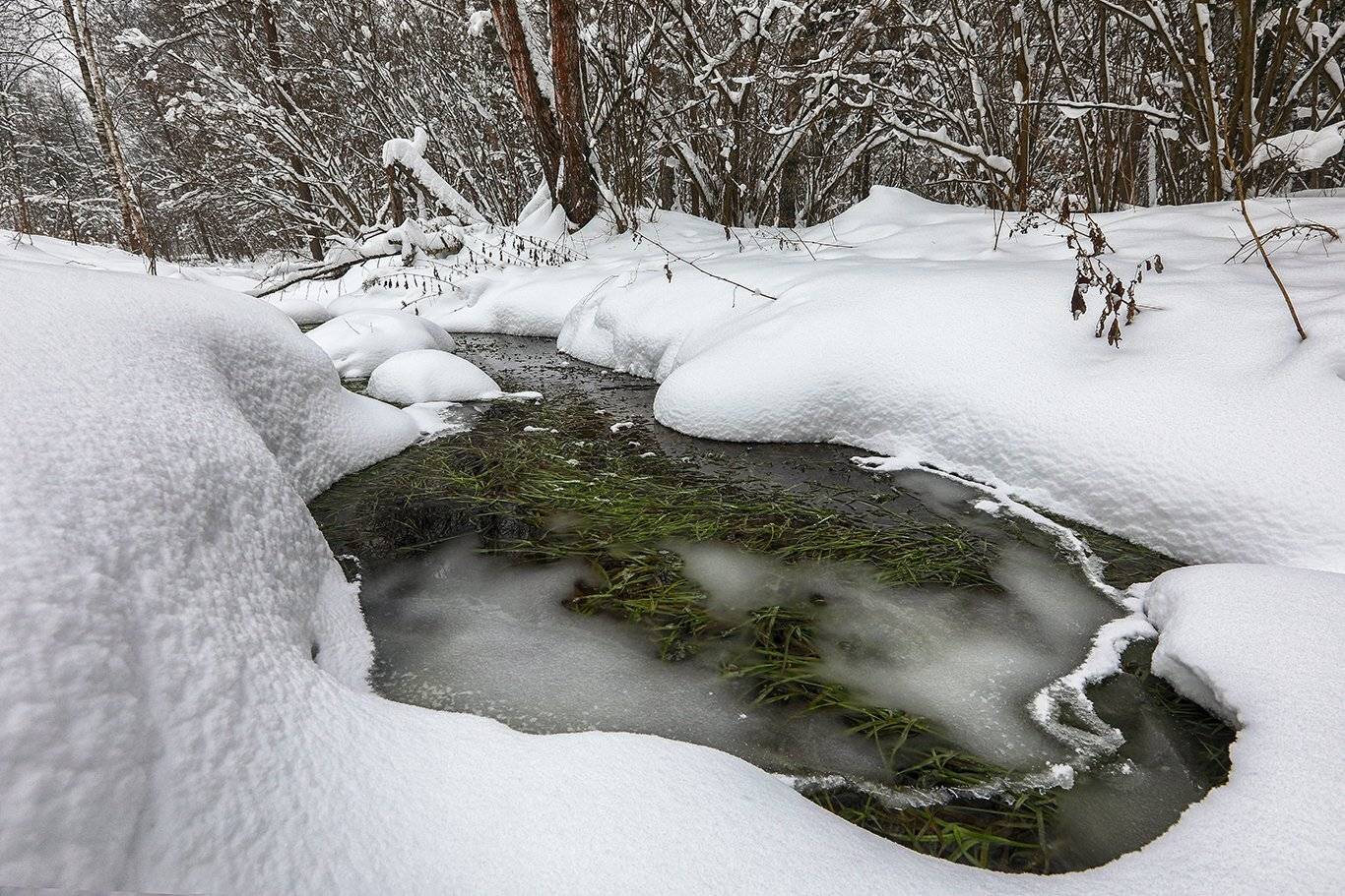 , Андрей Ершов