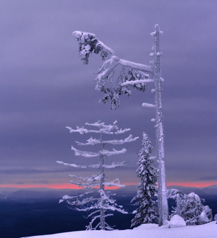 природа, пейзаж, север, кольский, панорама, природа россии, дикая природа, закат, свет, облака, вечер, тундра Суровое заполярье фото превью