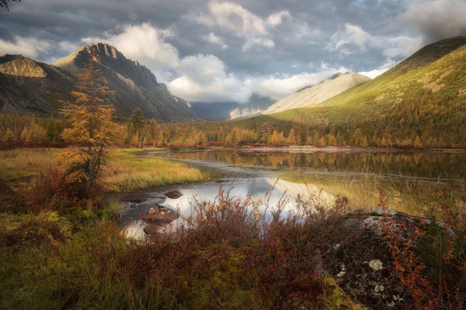 , Юрий Головченко