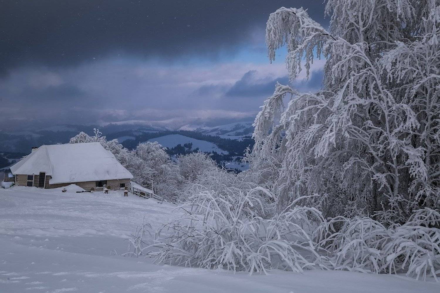 , Вячеслав Мищенко