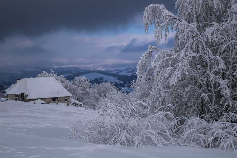 Белое безмолвие фото превью