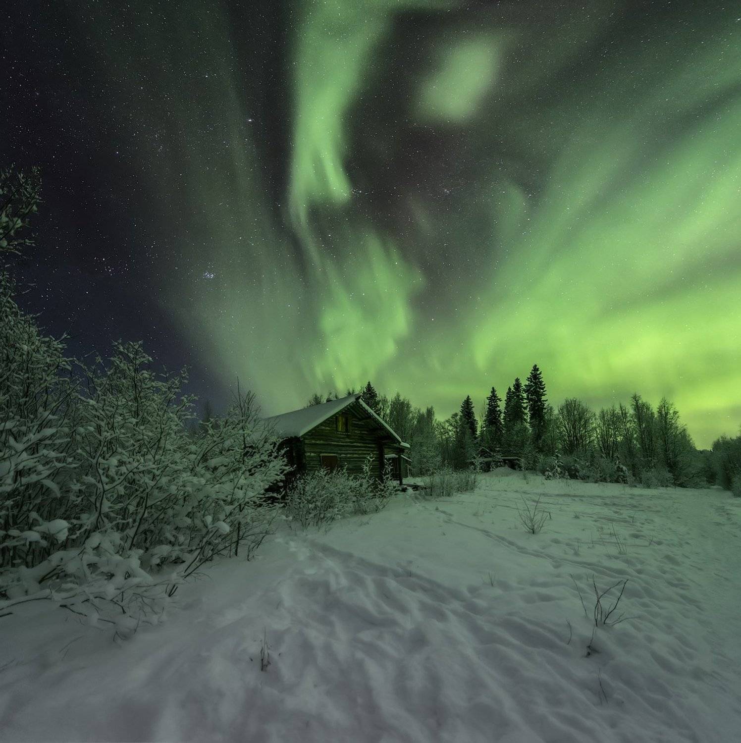 , Михаил Карпов