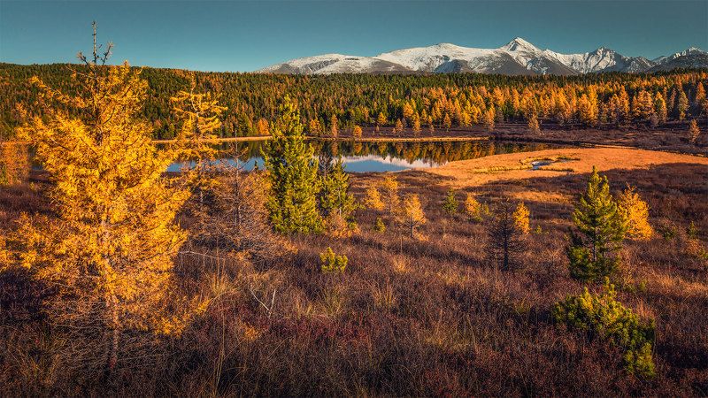 Окрестности Улаганского нагорья. Алтай фото превью