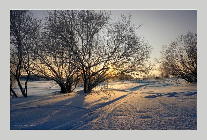 пейзаж зима мороз снег дмитрук музыка Холмогоры. январь фото превью