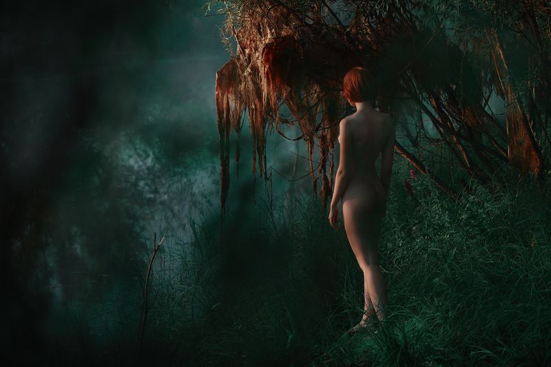 Лето фото превью