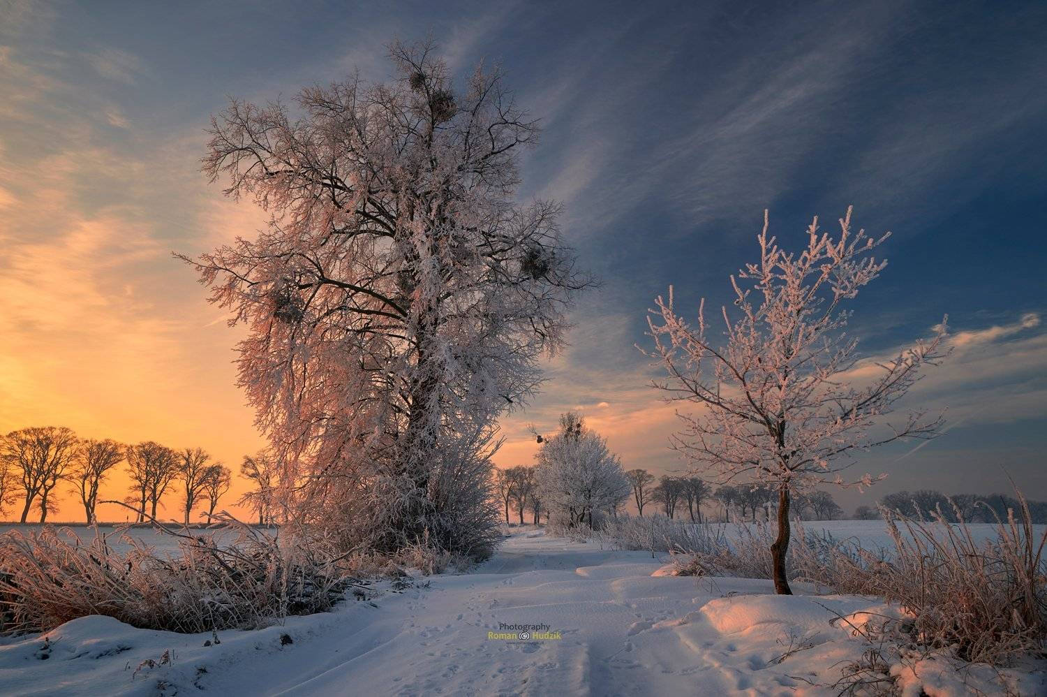   Road, sunrise, clouds, landscape, trees,, Roman Hudzik