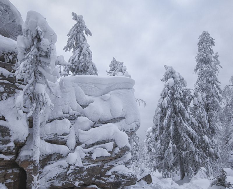 *** фото превью