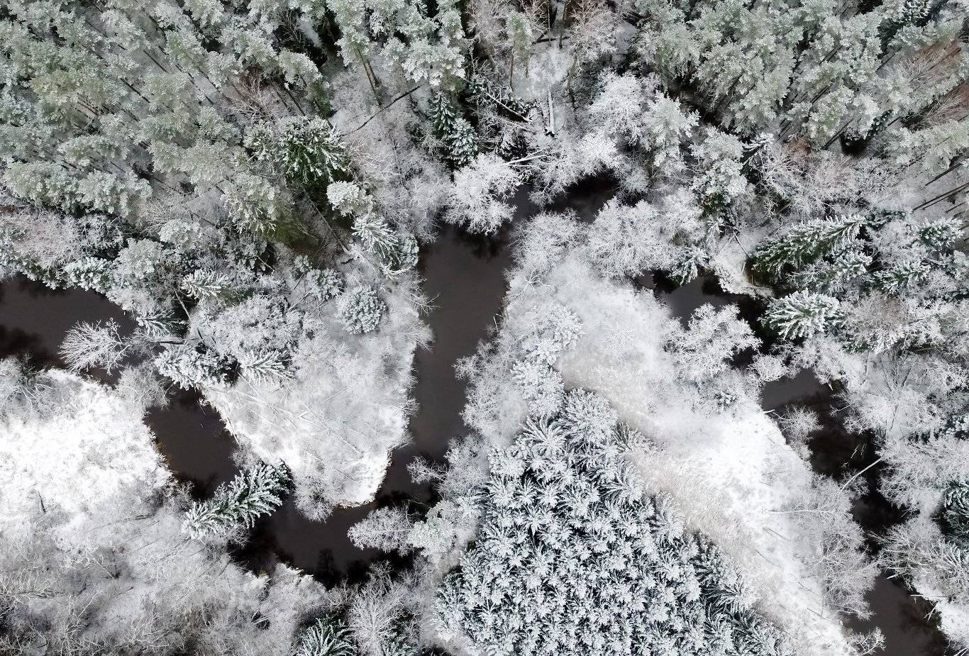 , Александр Абросимов