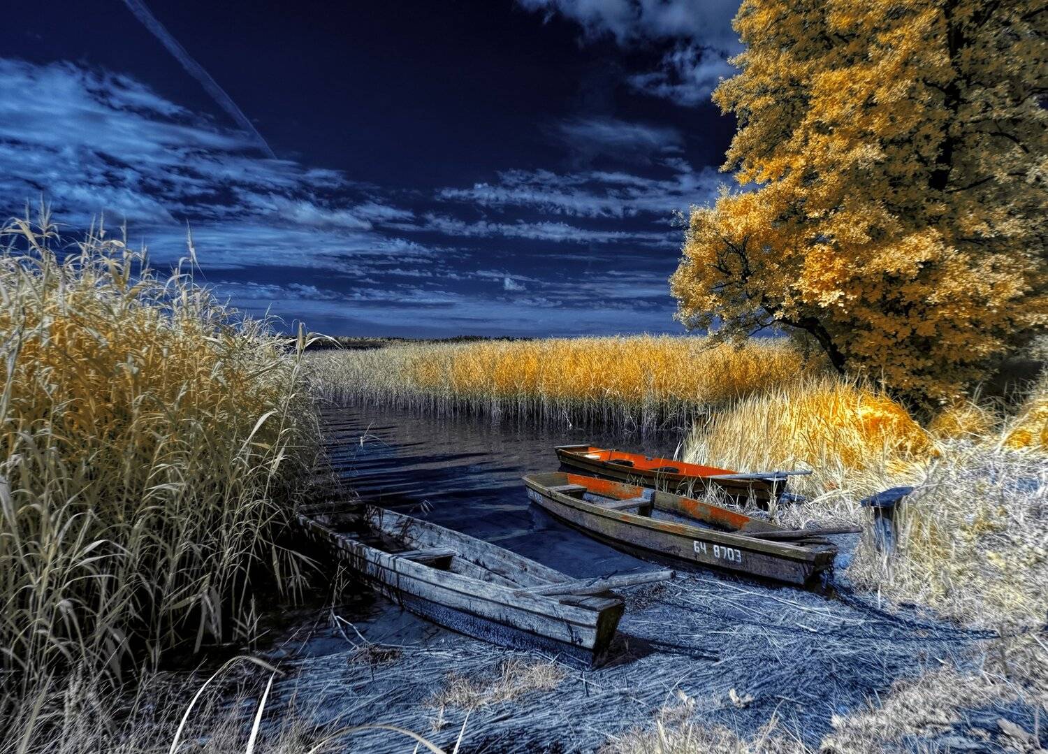 infrared,ик-фото,инфракрасное фото, инфракрасная фотография, пейзаж, лето, Sixten ( Сергей )