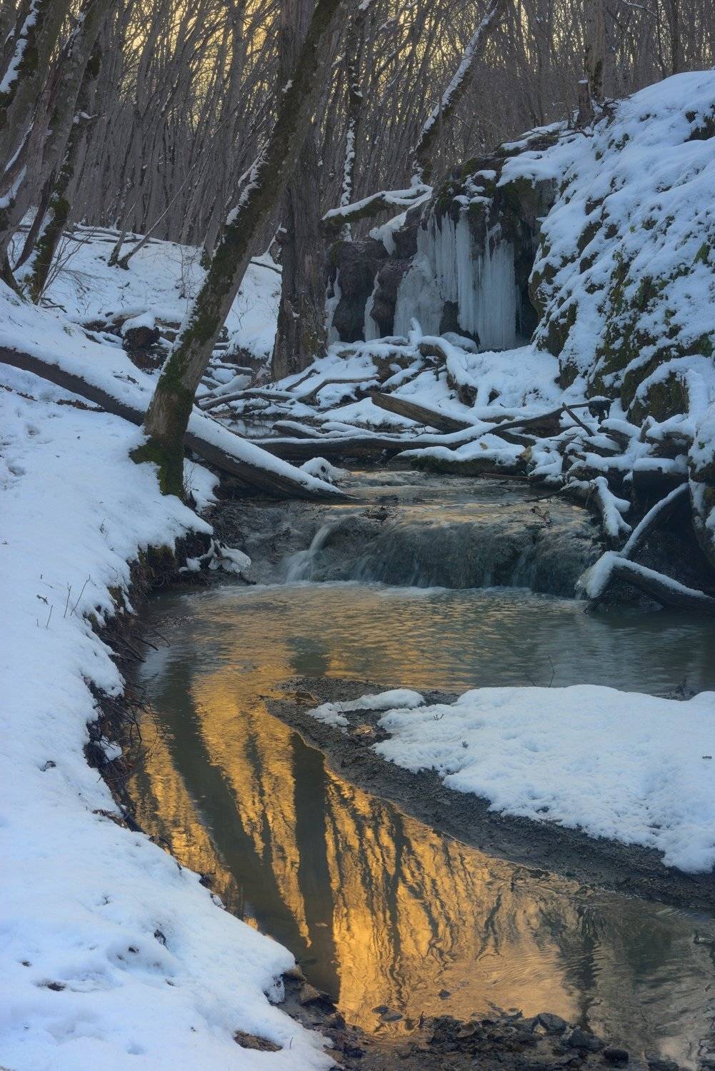 зима лес ручей рассвет, Александр Жарников