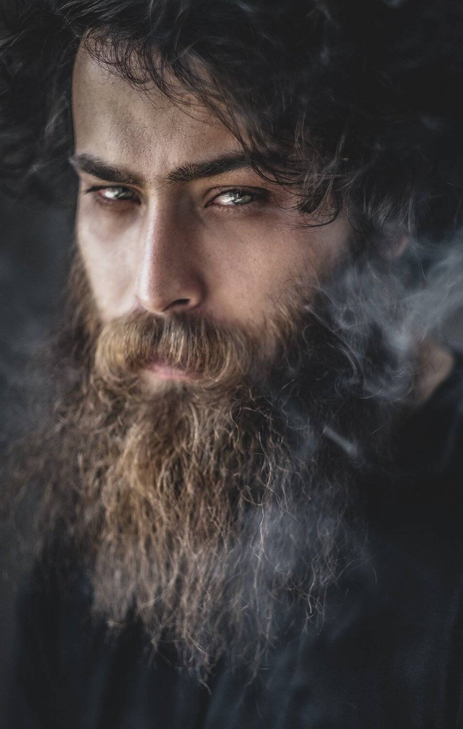 , shahin khalaji
