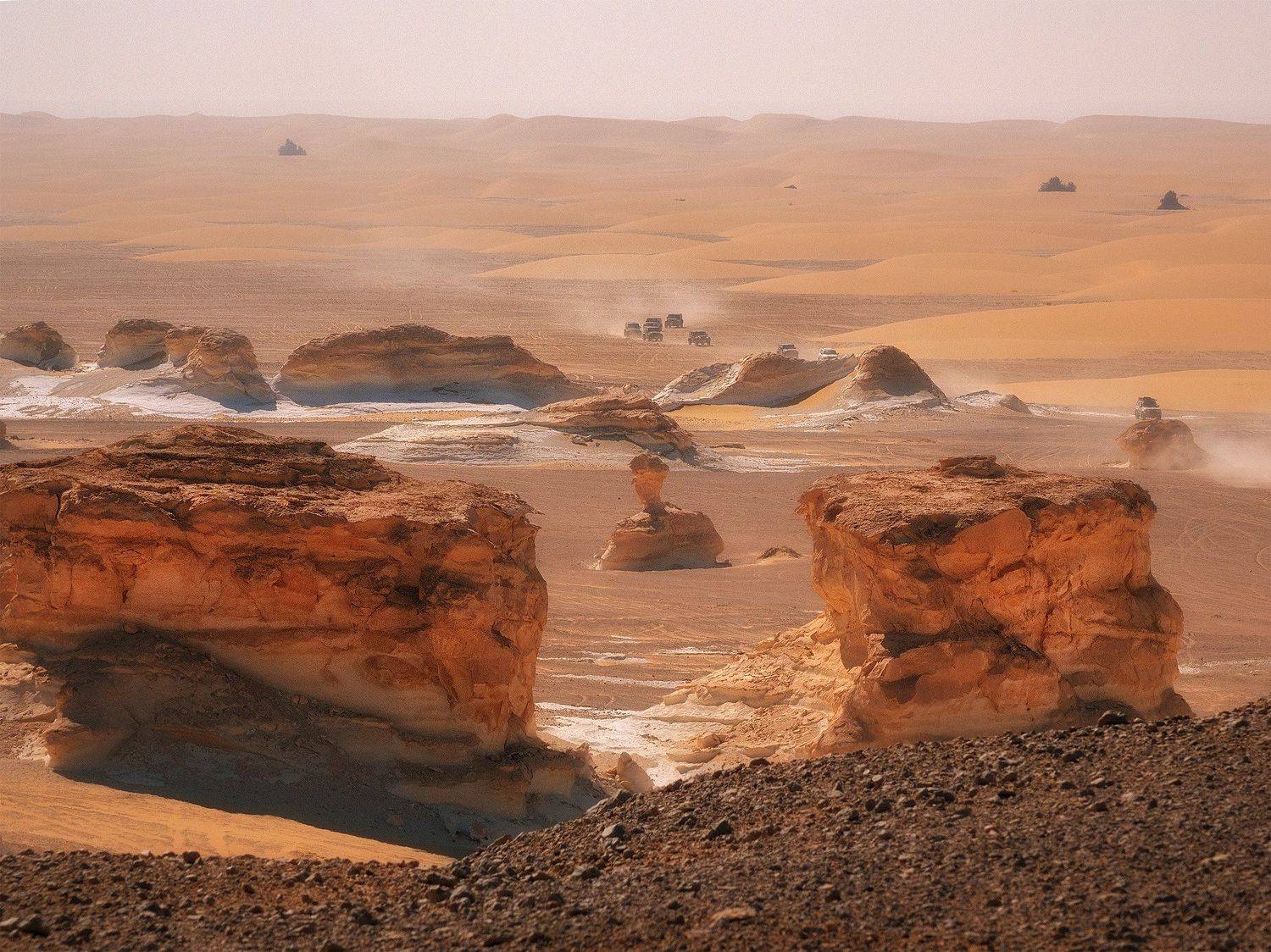 , Андрей Родионов