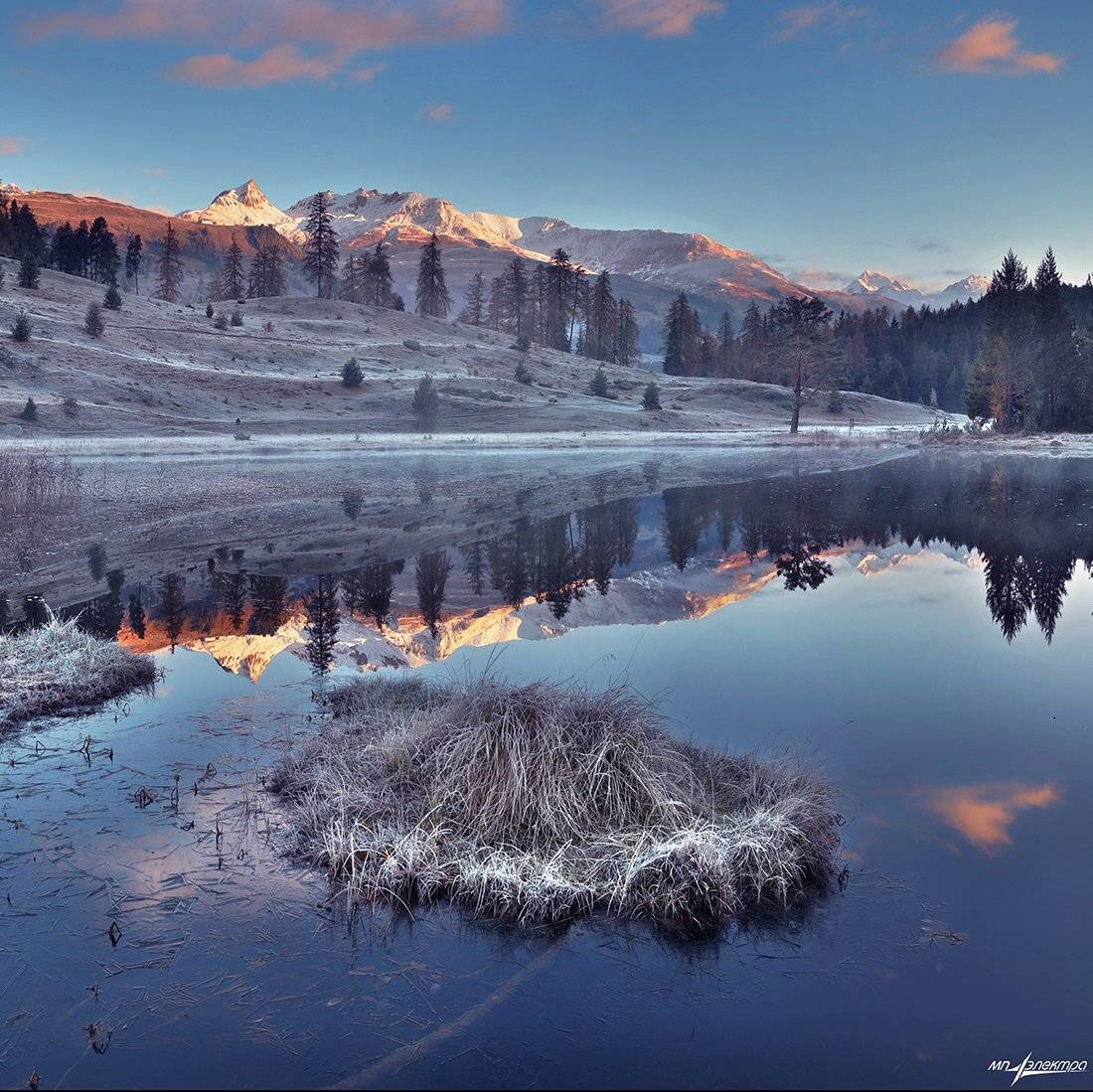 swiss, Матвеев Николай
