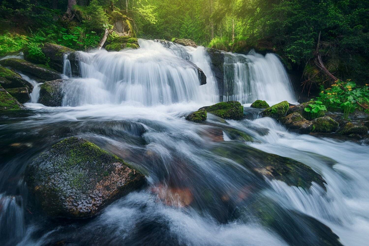 , Szabo Zsolt Andras