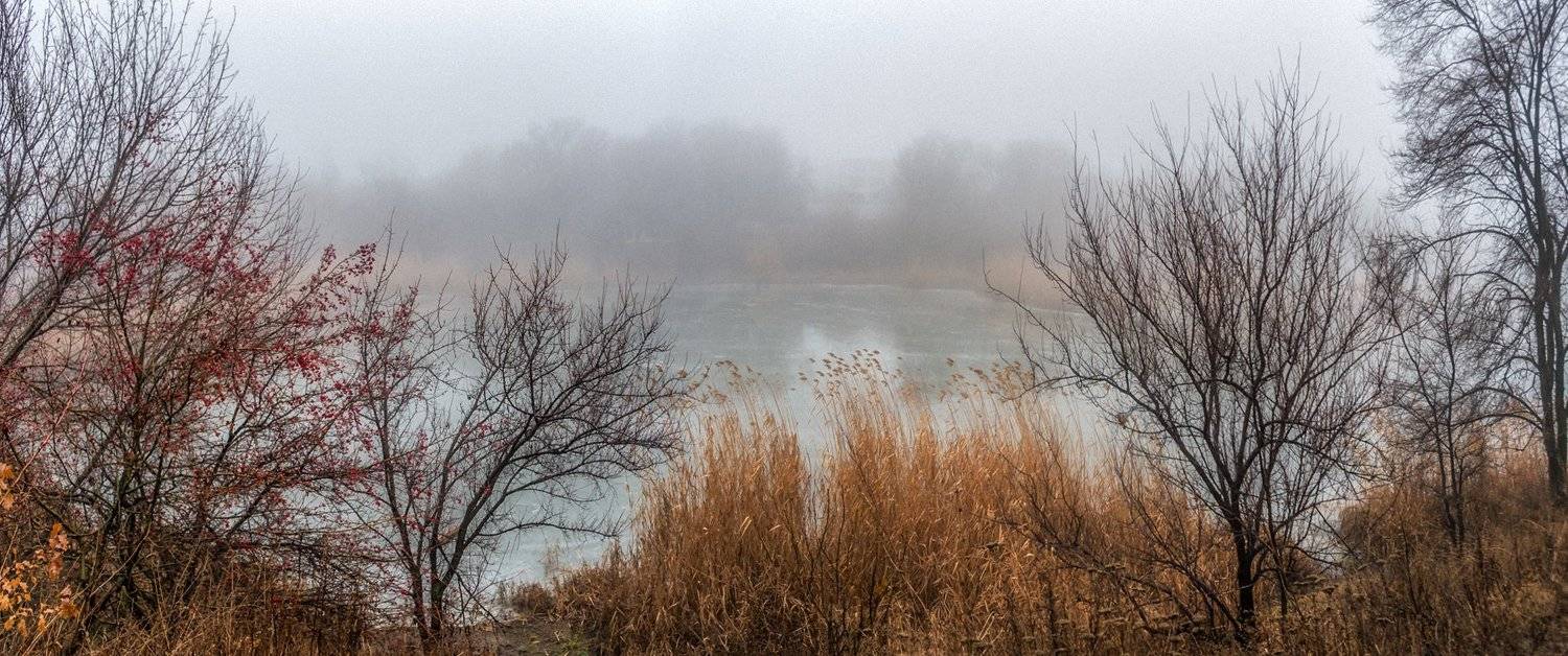 , Игорь Мелекесцев