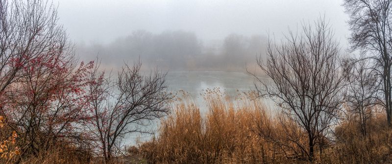 В туманное Рождество фото превью