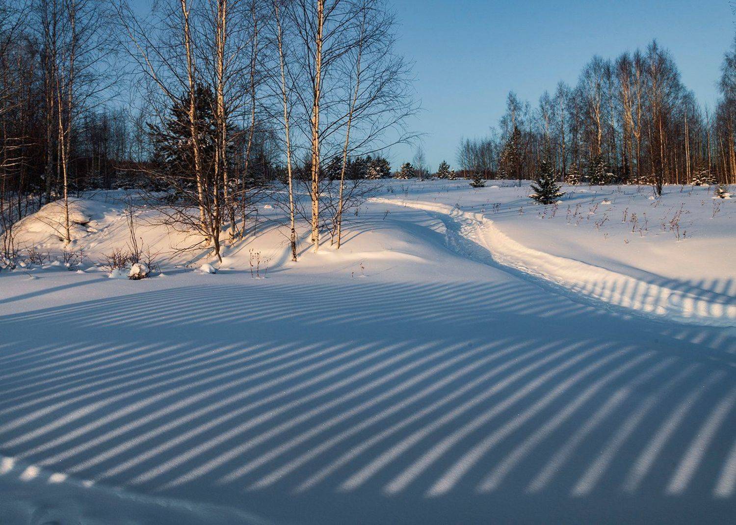 , Александр  Швачко