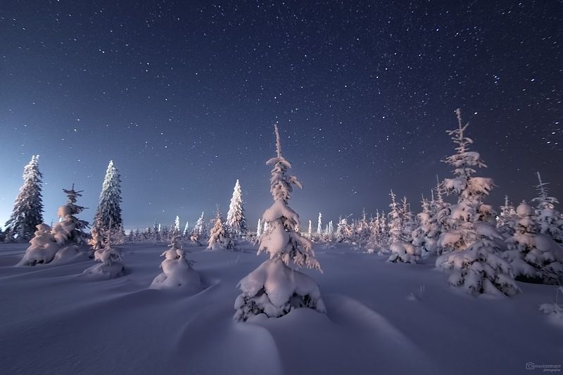 Звёздной ночью фото превью