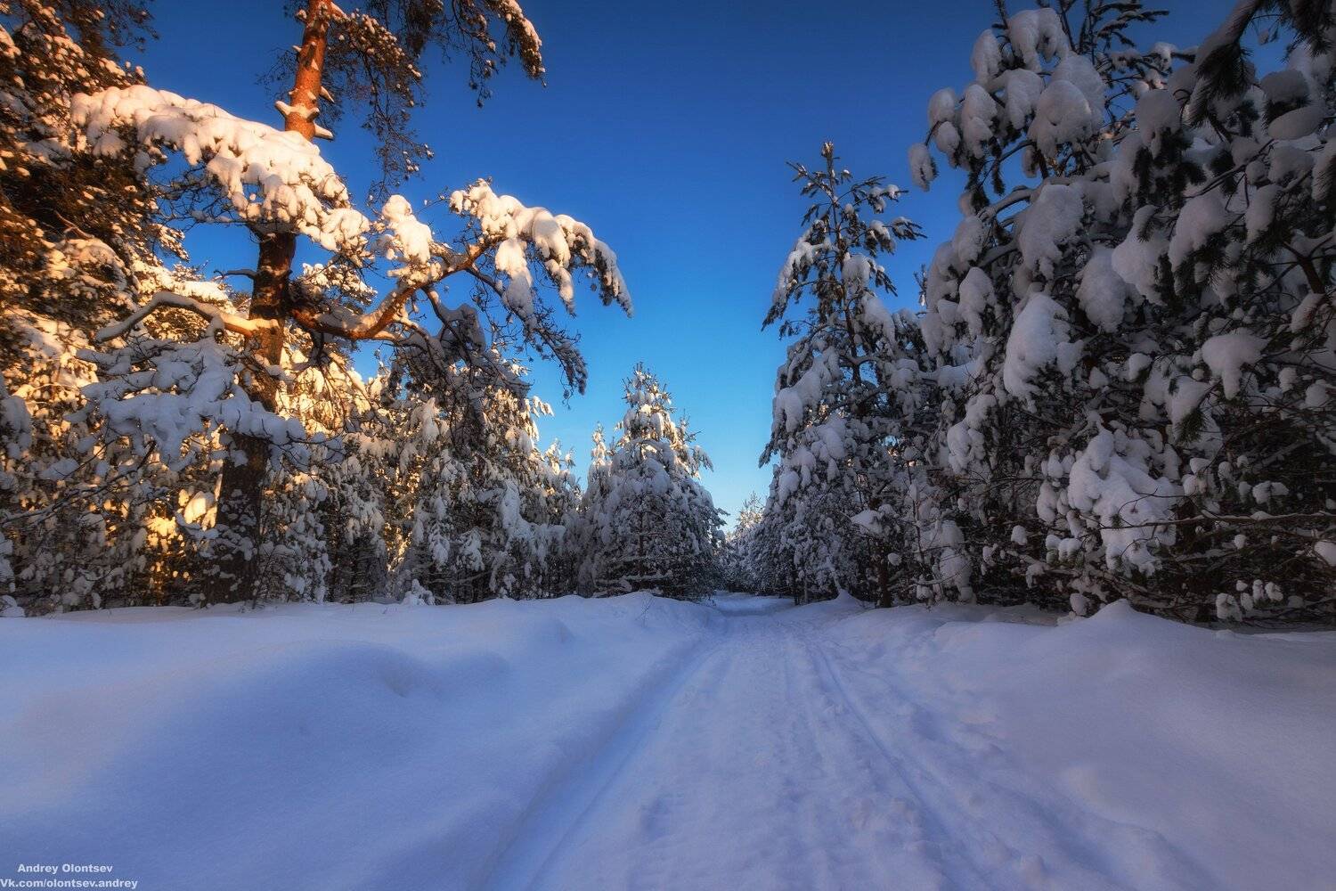 солнце, россия, рассвет, природа, подмосковье, погода, пейзажи, пейзаж, отражение, наукоград, красота, дубна, вода, весна, weather, water, spring, russia, reflection, naukograd, nature, moscow, landscape, dawn, canon, dubna, beauty, Андрей Олонцев